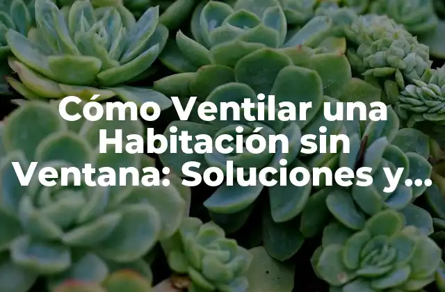 Cómo Ventilar una Habitación sin Ventana: Soluciones y Consejos