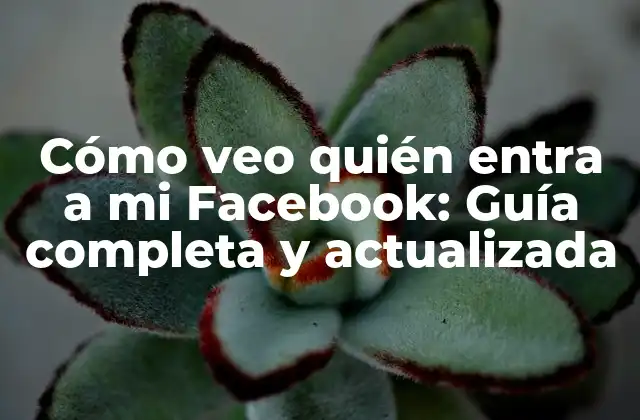 Cómo Veo Quién Entra a Mi Facebook: Guía Completa y Actualizada