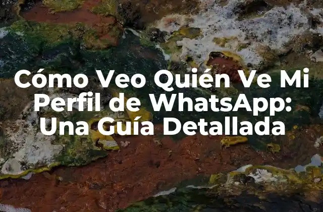 Cómo Veo Quién Ve Mi Perfil de Whatsapp: una Guía Detallada