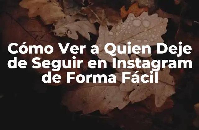 Cómo Ver a Quien Deje de Seguir en Instagram de Forma Fácil