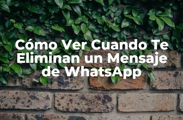 Cómo Ver Cuando Te Eliminan un Mensaje de Whatsapp