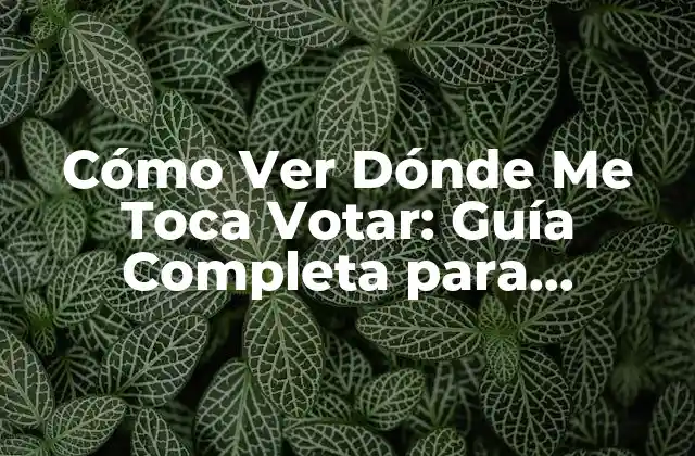 Cómo Ver Dónde Me Toca Votar: Guía Completa para Encontrar Tu Lugar de Votación