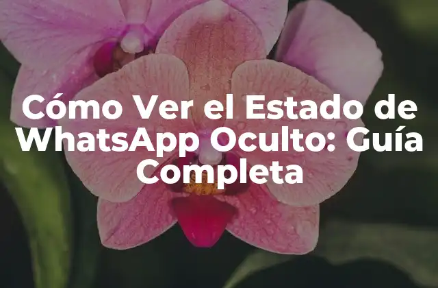 Cómo Ver el Estado de Whatsapp Oculto: Guía Completa