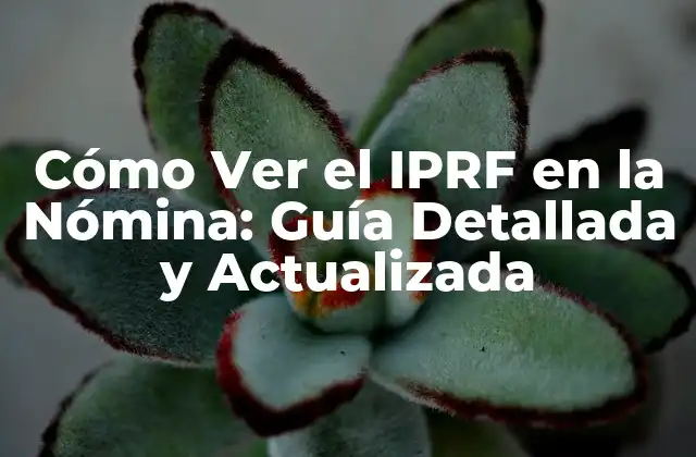 Cómo Ver el Iprf en la Nómina: Guía Detallada y Actualizada