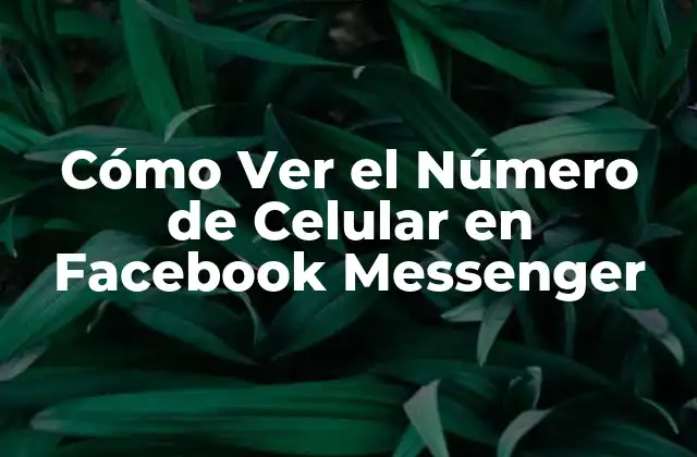 Cómo Ver el Número de Celular en Facebook Messenger