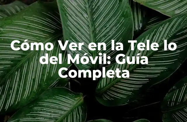 Cómo Ver en la Tele Lo Del Móvil: Guía Completa
