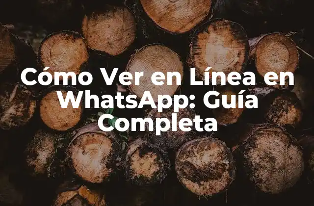 Cómo Ver en Línea en Whatsapp: Guía Completa