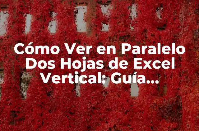 Cómo Ver en Paralelo Dos Hojas de Excel Vertical: Guía Completa