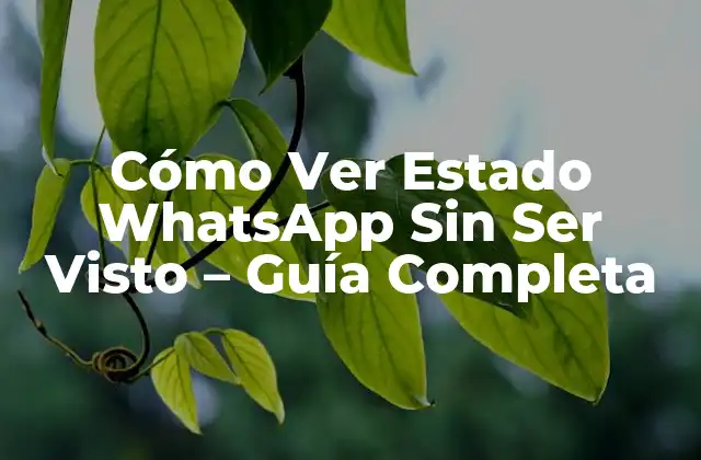Cómo Ver Estado Whatsapp sin Ser Visto – Guía Completa