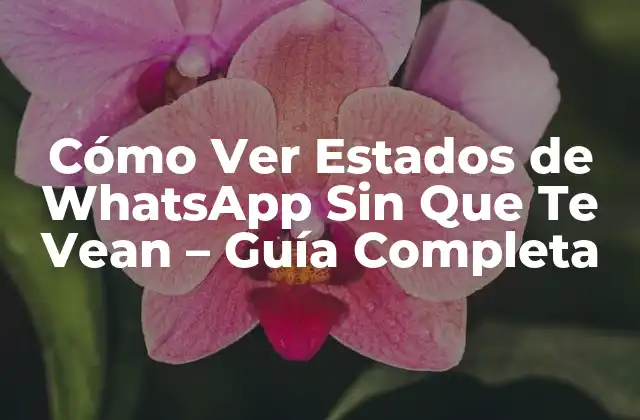 Cómo Ver Estados de Whatsapp sin que Te Vean – Guía Completa