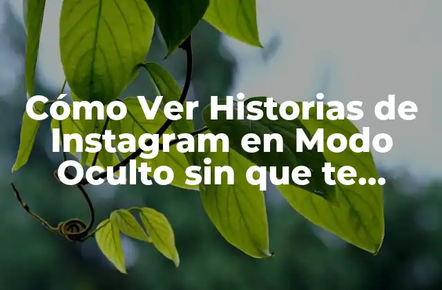 Cómo Ver Historias de Instagram en Modo Oculto sin que Te Descubran 2 ¿Por qué Quieres Ver Historias de Instagram en Modo Oculto?