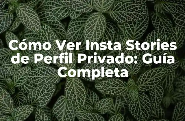 ¿Por qué la privacidad es importante en Instagram?