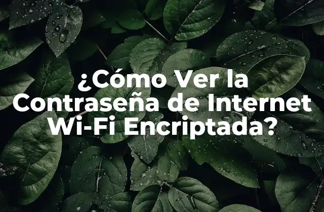 ¿cómo Ver la Contraseña de Internet Wi-fi Encriptada? 2 ¿Por qué es Importante Proteger tus Contraseñas de Internet?