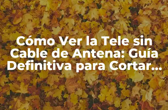 Cómo Ver la Tele sin Cable de Antena: Guía Definitiva para Cortar la Cuerda