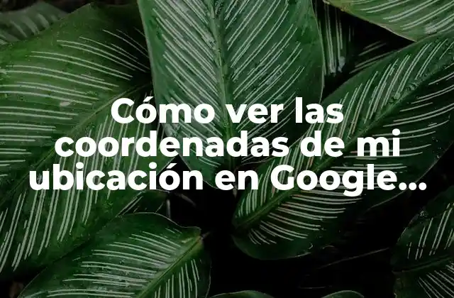Cómo Ver las Coordenadas de Mi Ubicación en Google Maps 2 ¿Qué son las coordenadas de ubicación?