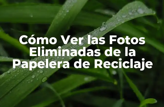 Cómo Ver las Fotos Eliminadas de la Papelera de Reciclaje