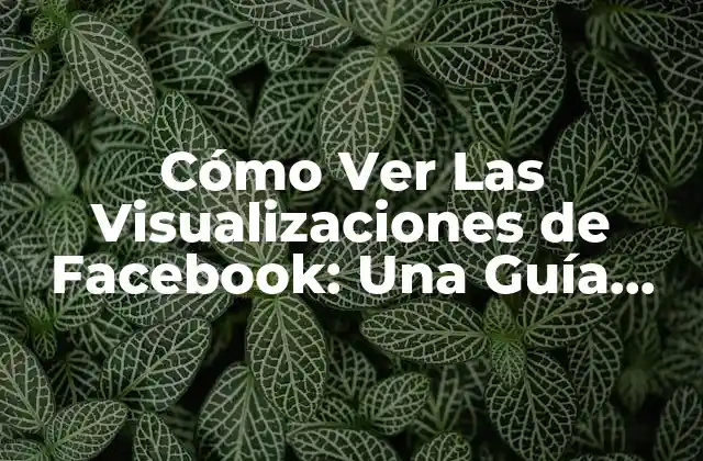 Cómo Ver las Visualizaciones de Facebook: una Guía Detallada