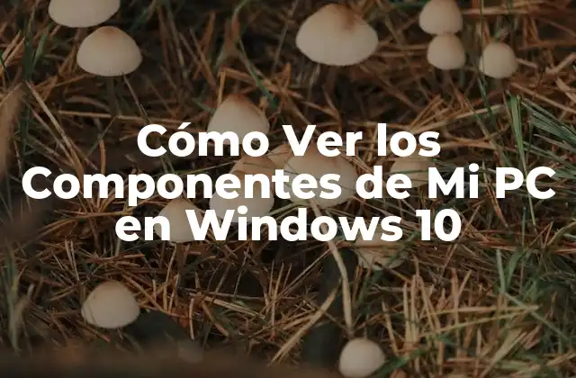 Cómo Ver los Componentes de Mi Pc en Windows 10