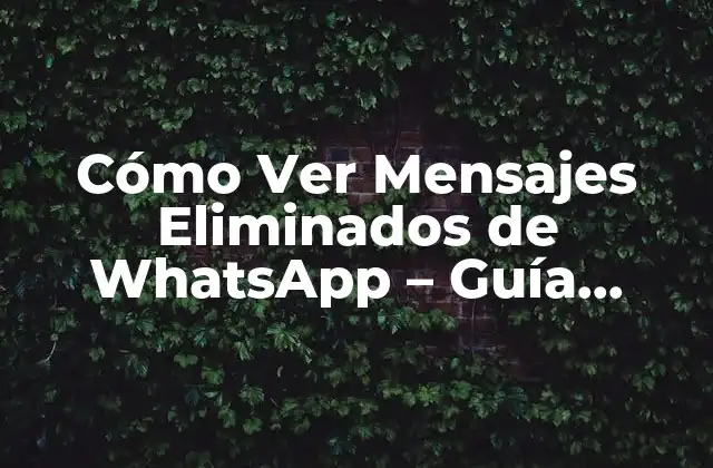 Cómo Ver Mensajes Eliminados de Whatsapp – Guía Completa