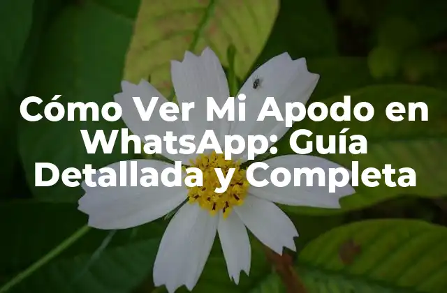 Cómo Ver Mi Apodo en Whatsapp: Guía Detallada y Completa