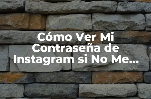 Cómo Ver Mi Contraseña de Instagram Si No Me Acuerdo