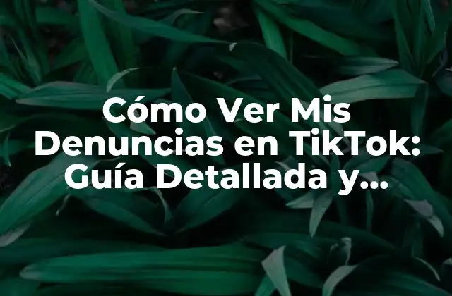 Cómo Ver Mis Denuncias en Tiktok: Guía Detallada y Actualizada