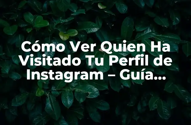¿Por Qué Quieres Ver Quien Ha Visitado Tu Perfil de Instagram?