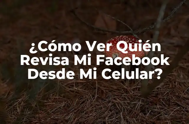 ¿Por Qué Quieres Ver Quién Revisa Tu Facebook?