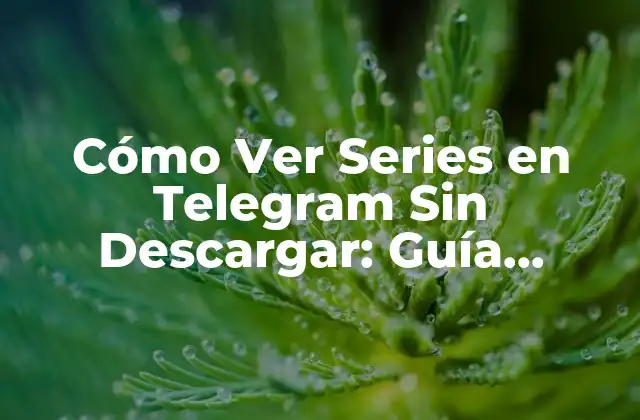 Cómo Ver Series en Telegram sin Descargar: Guía Completa