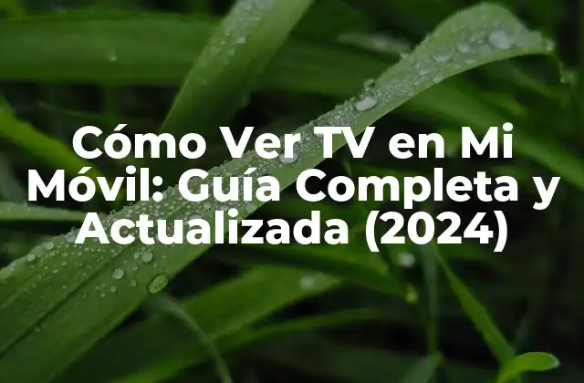 Cómo Ver Tv en Mi Móvil: Guía Completa y Actualizada (2024) 2 Aplicaciones de TV en Línea para Móviles