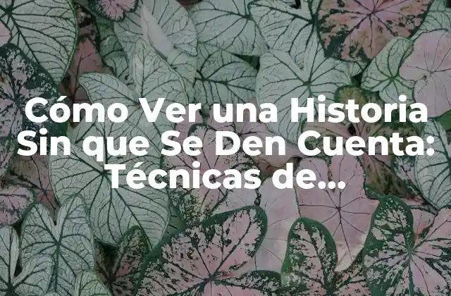 Cómo Ver una Historia sin que Se Den Cuenta: Técnicas de Observación Discreta