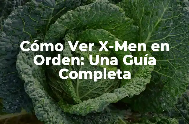 Cómo Ver X-men en Orden: una Guía Completa