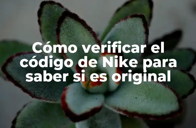 Cómo Verificar el Código de Nike para Saber Si es Original