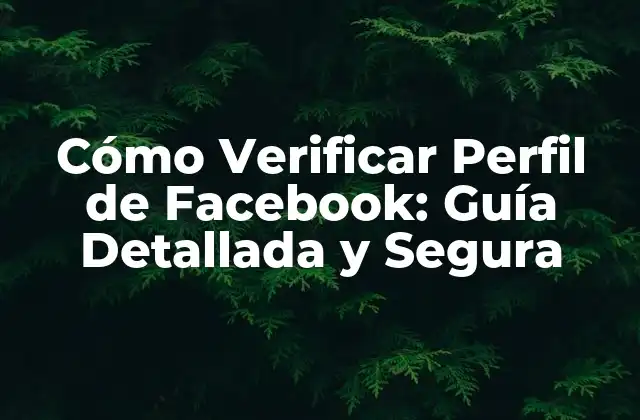 Cómo Verificar Perfil de Facebook: Guía Detallada y Segura