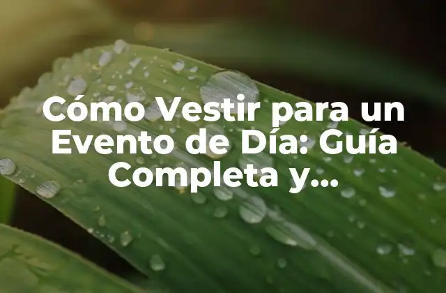Cómo Vestir para un Evento de Día: Guía Completa y Actualizada