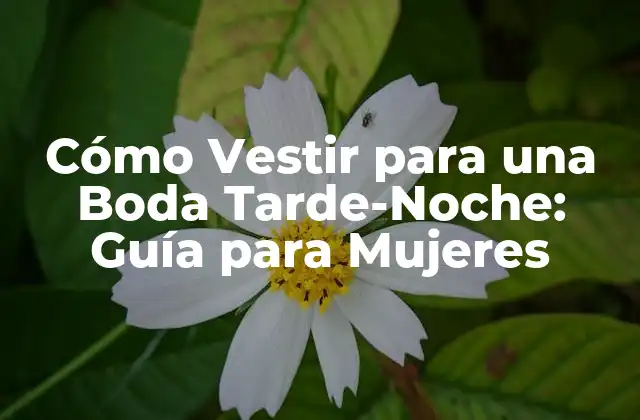 Cómo Vestir para una Boda Tarde-noche: Guía para Mujeres