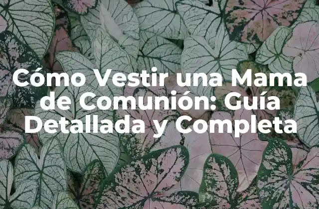 Cómo Vestir una Mama de Comunión: Guía Detallada y Completa