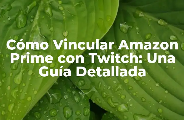 Cómo Vincular Amazon Prime con Twitch: una Guía Detallada