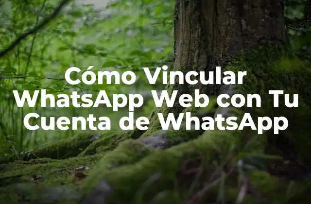 ¿Qué es WhatsApp Web y Cómo Funciona?