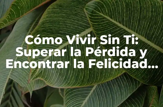 Cómo Vivir sin Ti: Superar la Pérdida y Encontrar la Felicidad de Nuevo