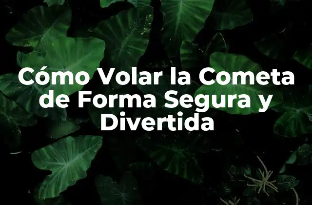 Cómo Volar la Cometa de Forma Segura y Divertida