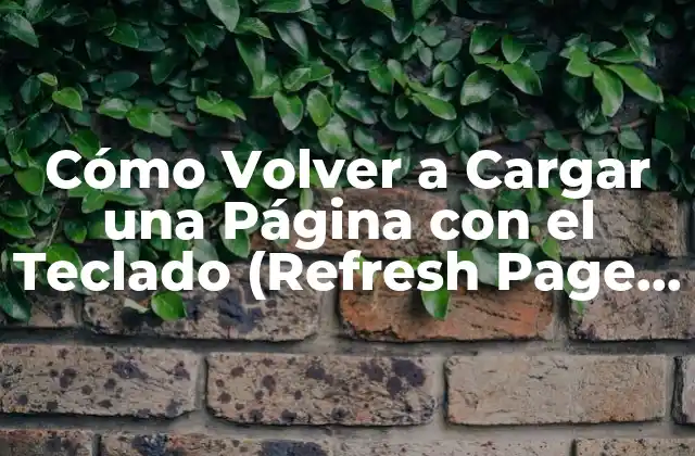 Cómo Volver a Cargar una Página con el Teclado (refresh Page With Keyboard) – Guía Completa