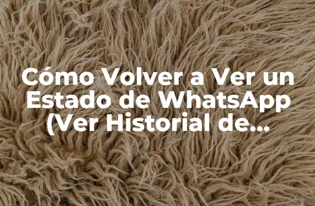 Cómo Volver a Ver un Estado de Whatsapp (ver Historial de Estados)