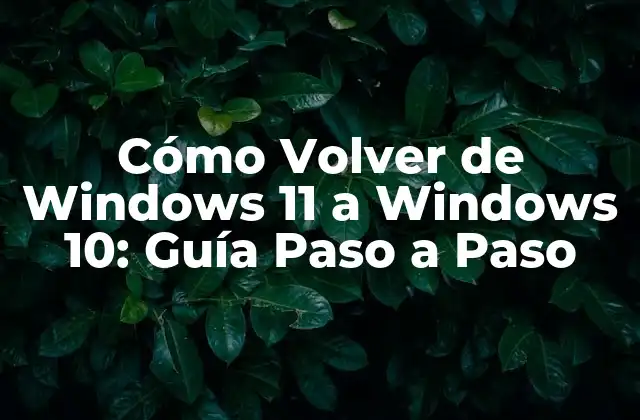 Cómo Volver de Windows 11 a Windows 10: Guía Paso a Paso