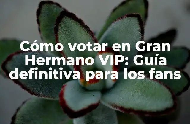 Cómo Votar en Gran Hermano Vip: Guía Definitiva para los Fans
