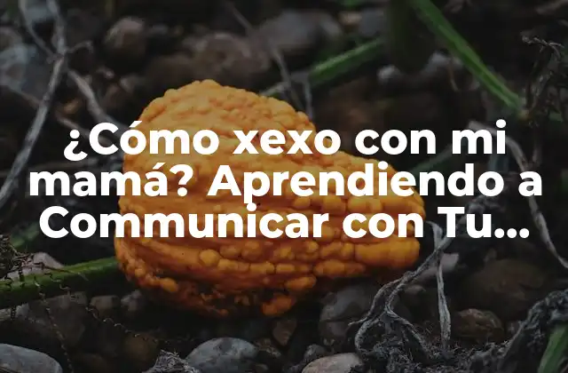 ¿cómo Xexo con Mi Mamá? Aprendiendo a Communicar con Tu Familia