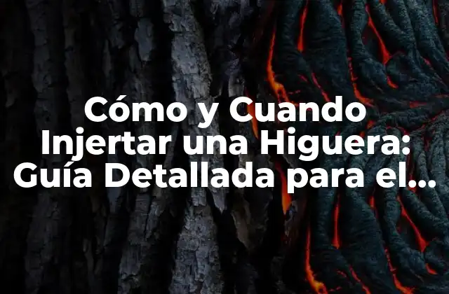 Cómo y Cuando Injertar una Higuera: Guía Detallada para el Éxito