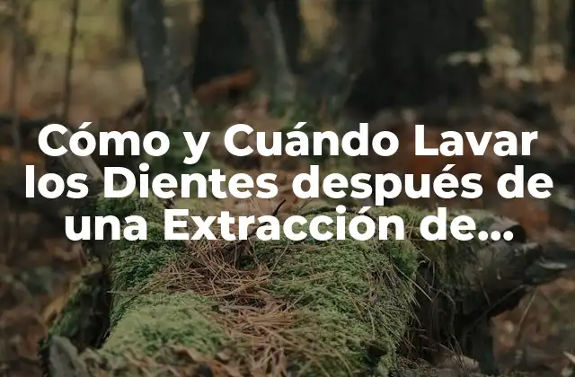 Cómo y Cuándo Lavar los Dientes Después de una Extracción de Muela Del Juicio
