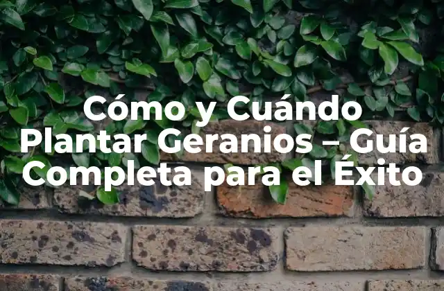 Cómo y Cuándo Plantar Geranios – Guía Completa para el Éxito