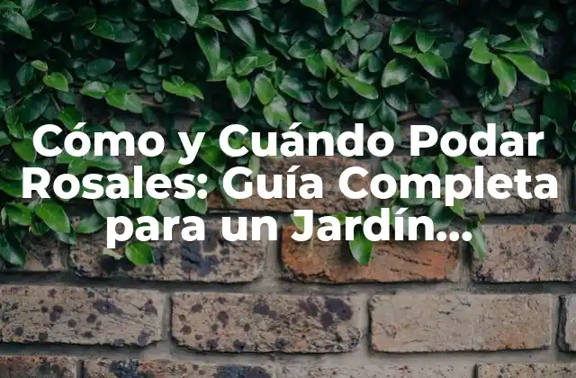 Cómo y Cuándo Podar Rosales: Guía Completa para un Jardín Hermoso
